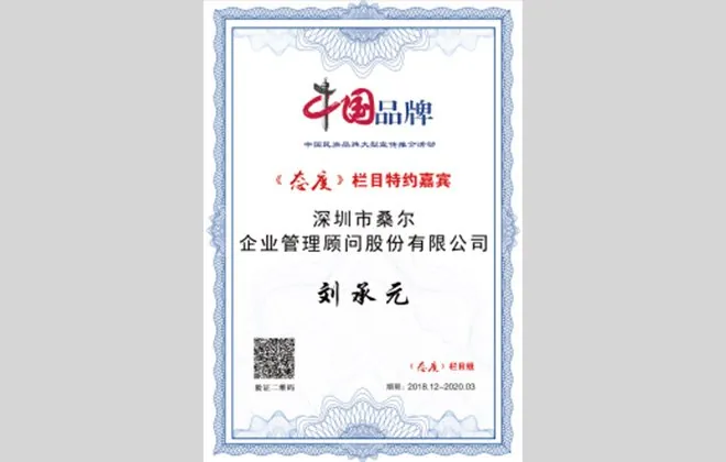 中国品牌·杰出人物作品荣誉证书